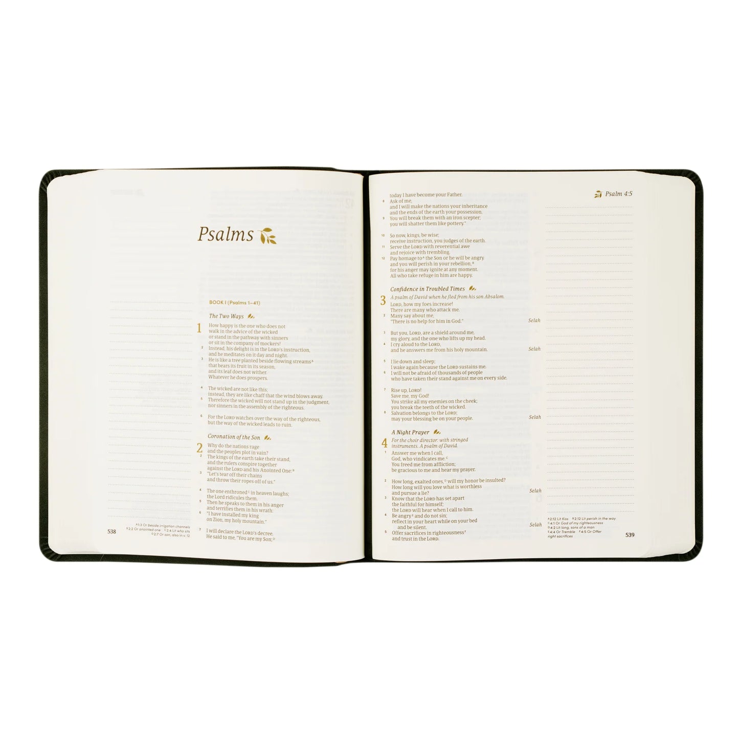 CSB Hosanna Revival Notetaking Bible Jerusalem