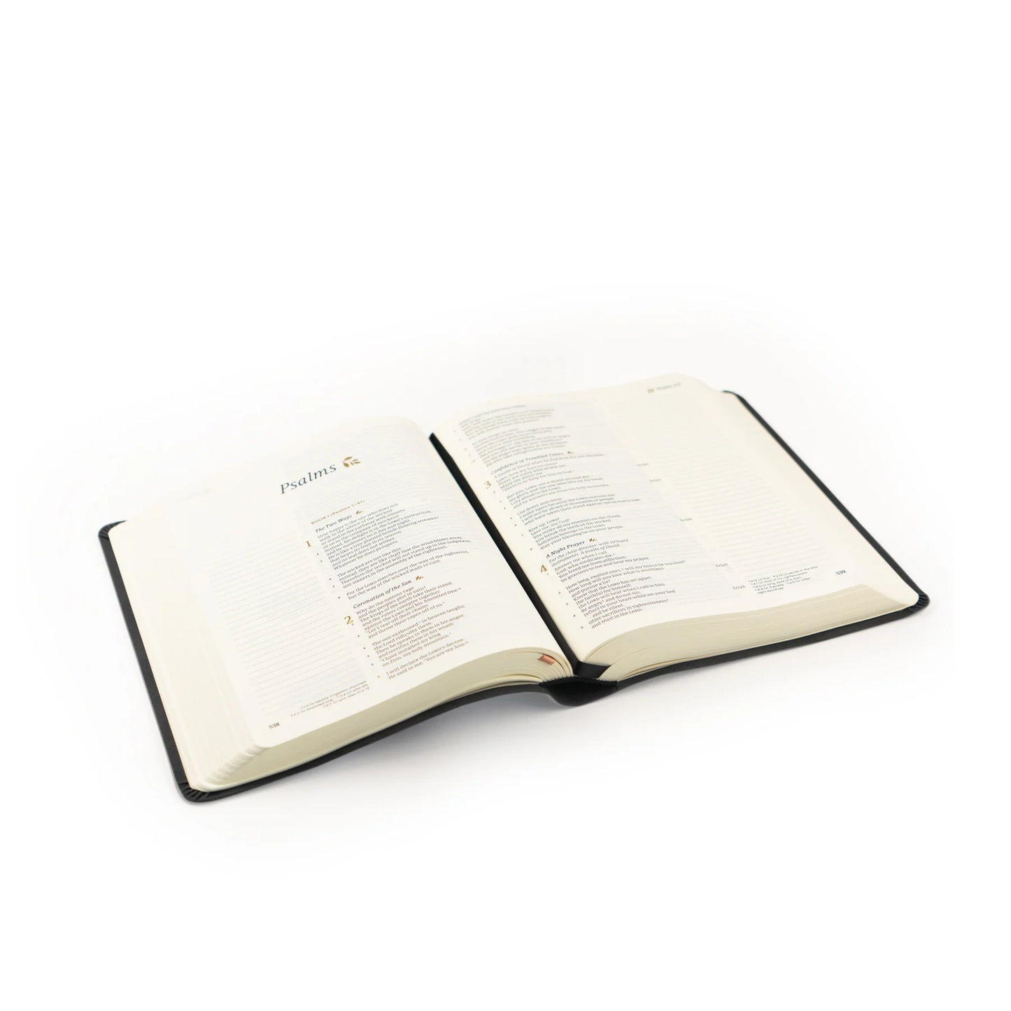 CSB Hosanna Revival Notetaking Bible Jerusalem