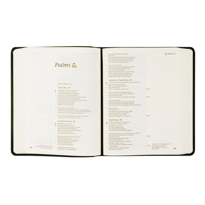 CSB Hosanna Revival Notetaking Bible Jerusalem